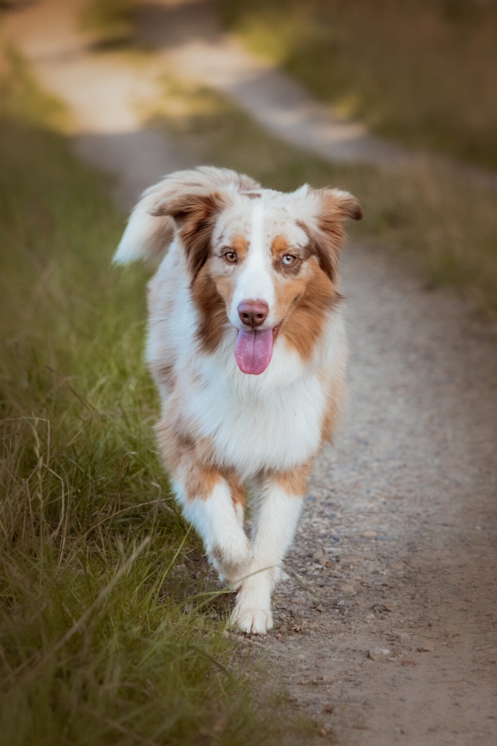 Rita Spiegel Baby (5)