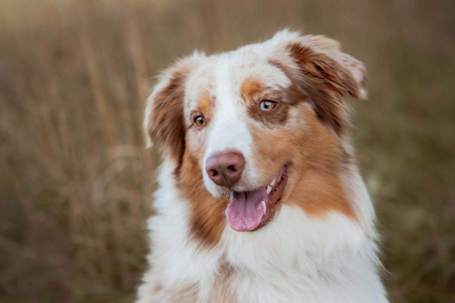 Rita Spiegel Baby (6)