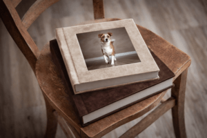 Produktfoto Fotobuch mit Studiofotografie eines Hundes auf dem Cover