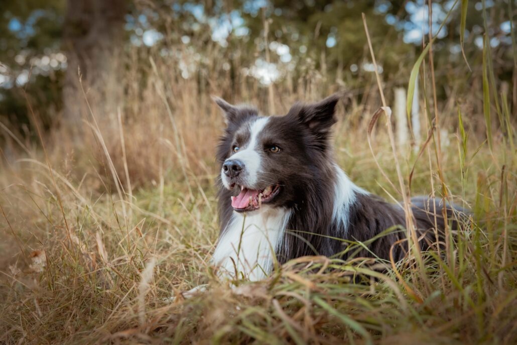 Rita Spiegel Familienfotografie25_1 (2)