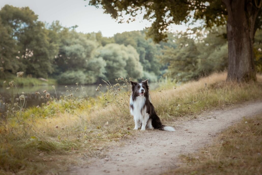 Rita Spiegel Familienfotografie25_6 (2)