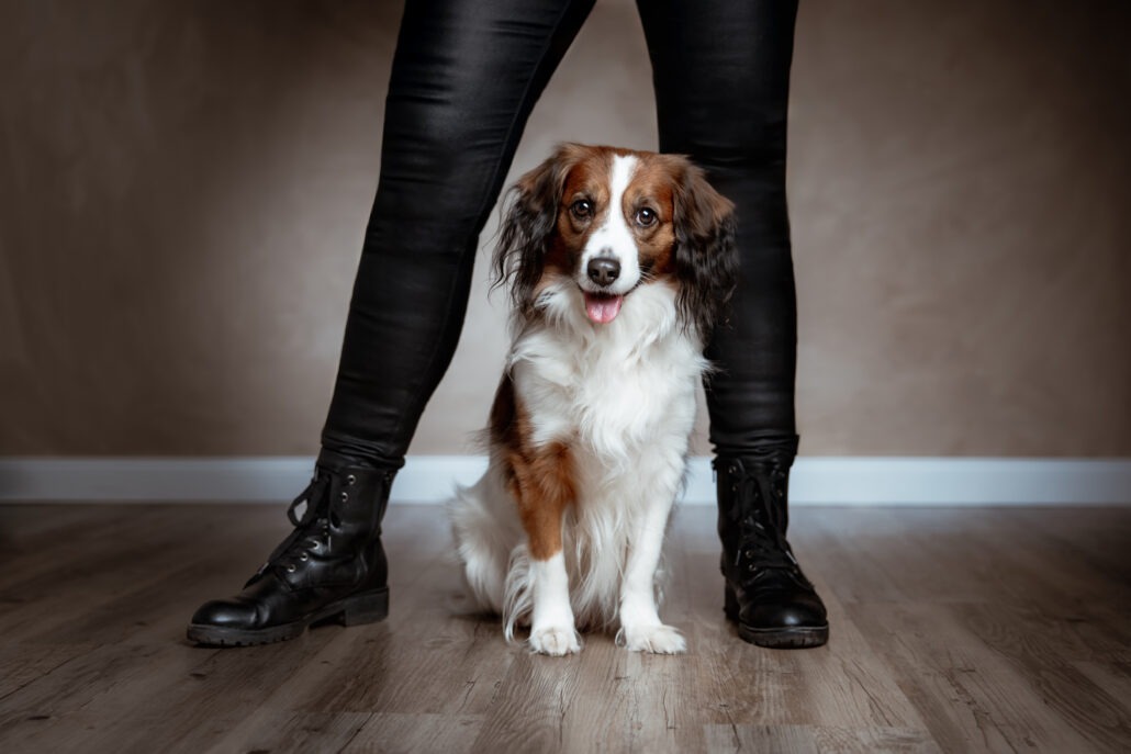 Rita Spiegel Tierportrait25_4