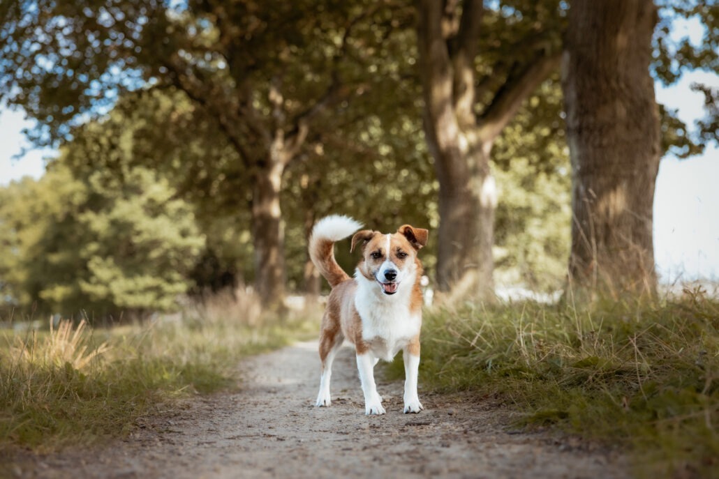 Rita Spiegel Toni25_2