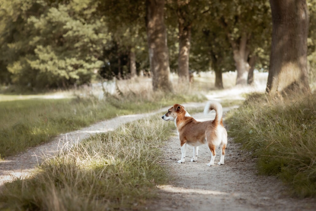 Rita Spiegel Toni25_3