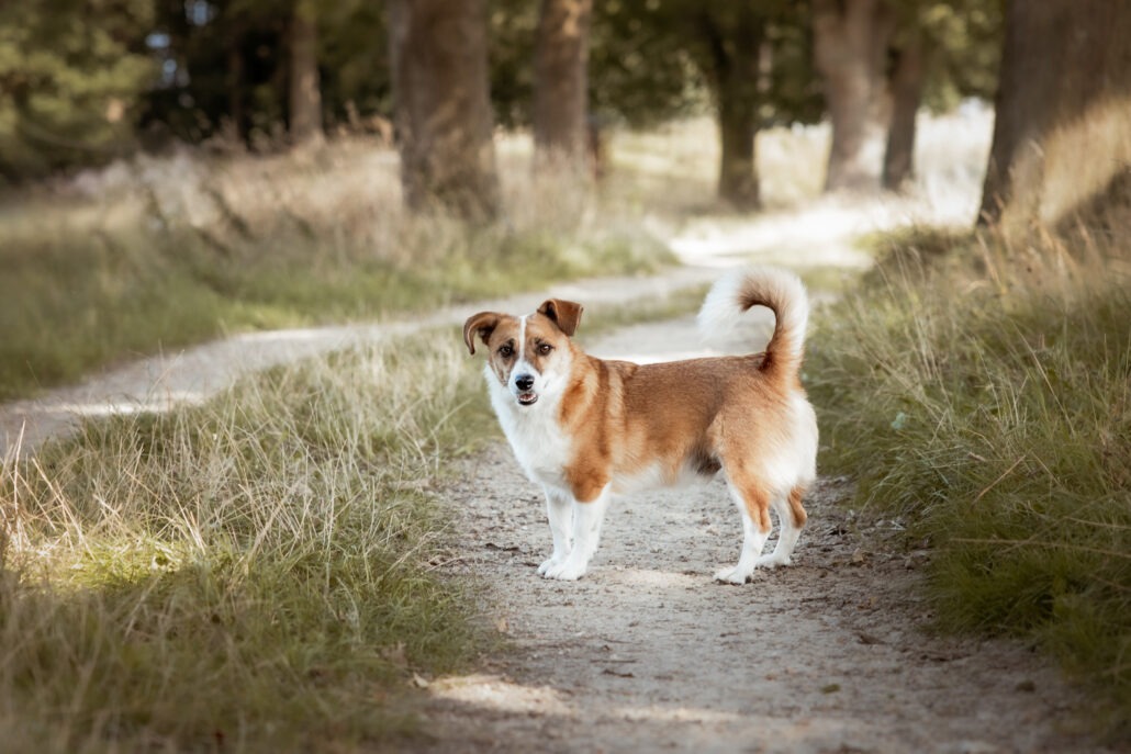 Rita Spiegel Toni25_4