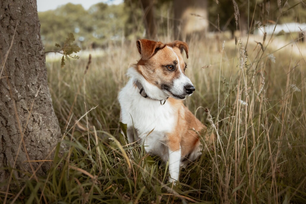 Rita Spiegel Toni25_5