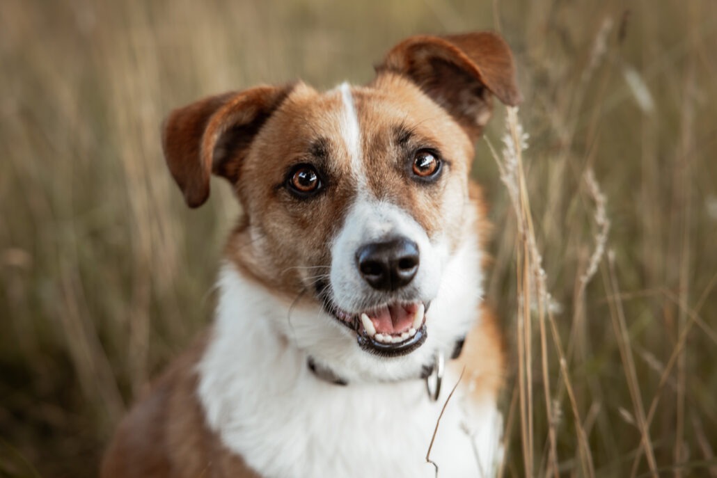 Rita Spiegel Toni25_6