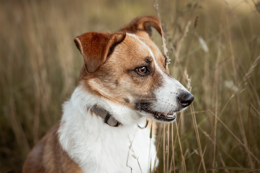 Rita Spiegel Toni25_7